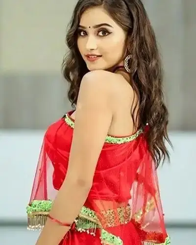 Call Girls Service Gundlupet